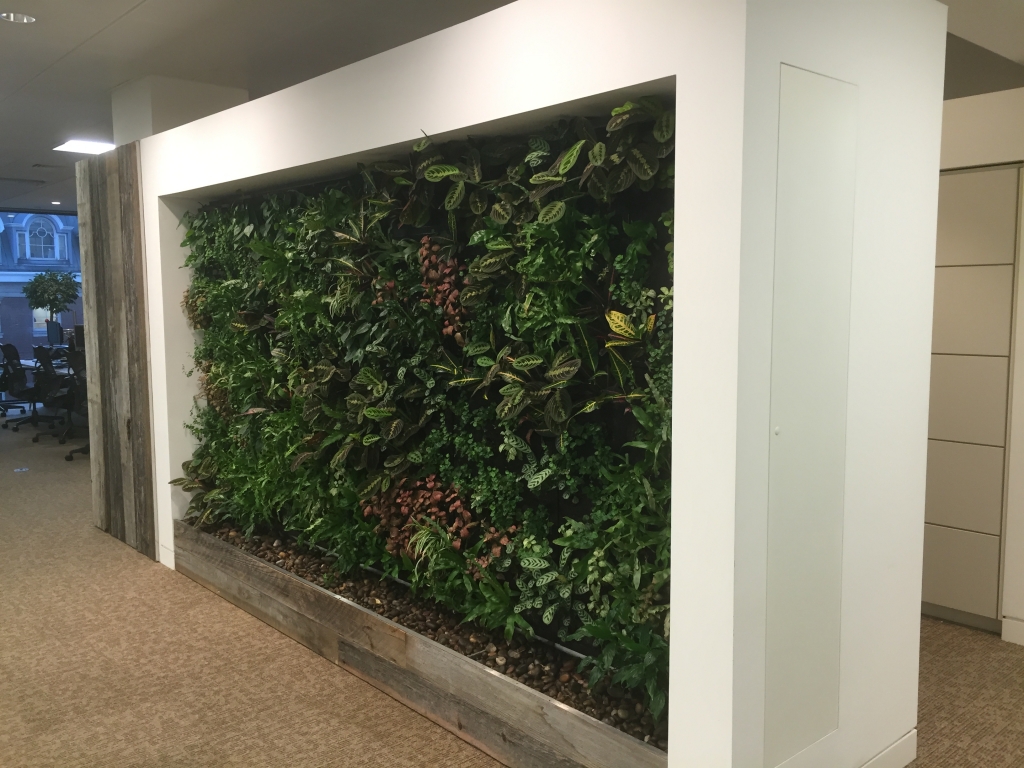 Indoor Living Walls